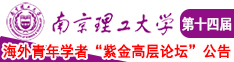 日日老骚逼南京理工大学第十四届海外青年学者紫金论坛诚邀海内外英才！